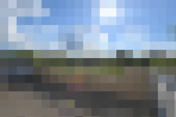 Ponyweide 88 Zoetermeer thumbnail 37