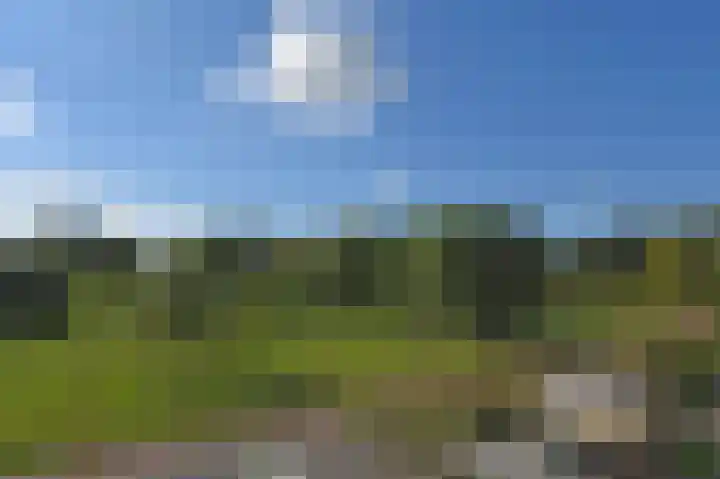 Ponyweide 88 Zoetermeer thumbnail 38