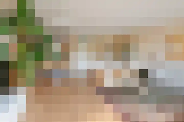 Ponyweide 88 Zoetermeer thumbnail 8