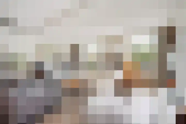 Ponyweide 92 Zoetermeer thumbnail 18