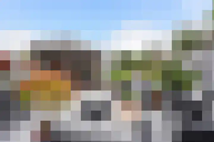 Ponyweide 92 Zoetermeer thumbnail 19