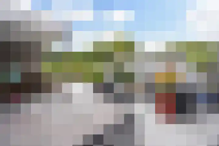 Ponyweide 92 Zoetermeer thumbnail 20