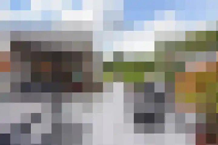 Ponyweide 92 Zoetermeer thumbnail 21
