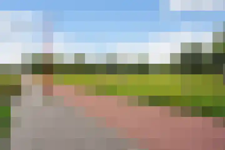 Ponyweide 92 Zoetermeer thumbnail 26