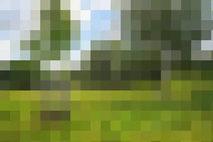 Ponyweide 92 Zoetermeer thumbnail 27