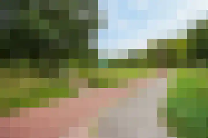 Ponyweide 92 Zoetermeer thumbnail 28
