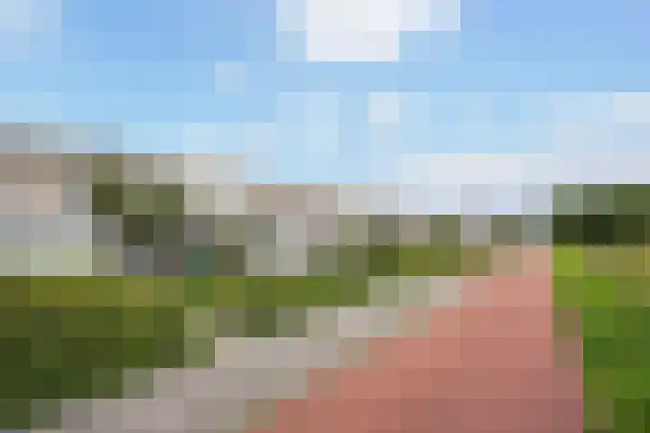 Ponyweide 92 Zoetermeer thumbnail 29