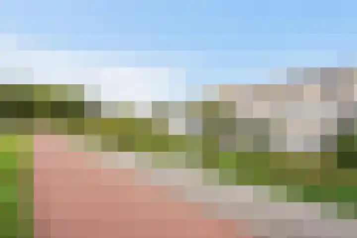 Ponyweide 92 Zoetermeer thumbnail 30