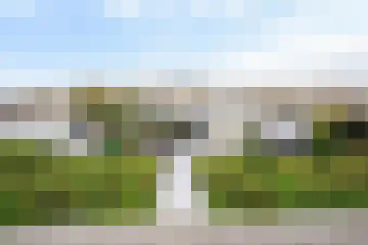 Ponyweide 92 Zoetermeer thumbnail 31
