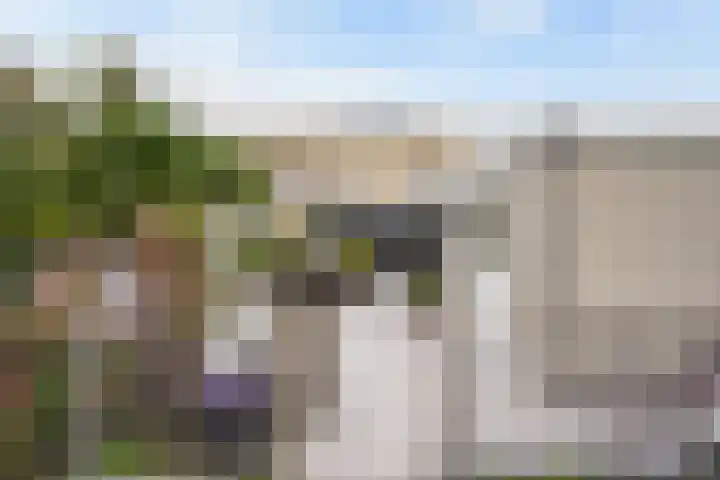 Ponyweide 92 Zoetermeer thumbnail 32