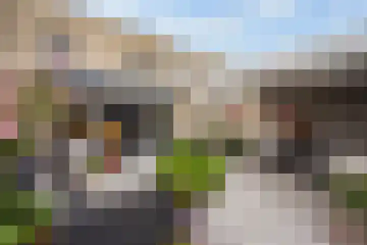 Ponyweide 92 Zoetermeer thumbnail 35