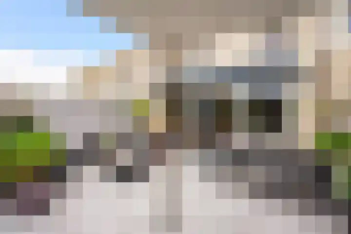 Ponyweide 92 Zoetermeer thumbnail 36