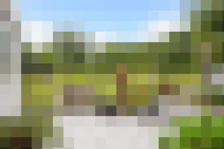 Ponyweide 92 Zoetermeer thumbnail 37