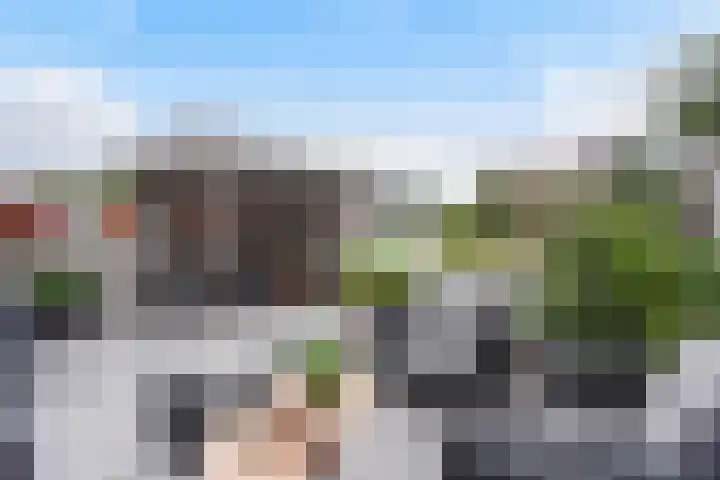 Ponyweide 92 Zoetermeer thumbnail 5
