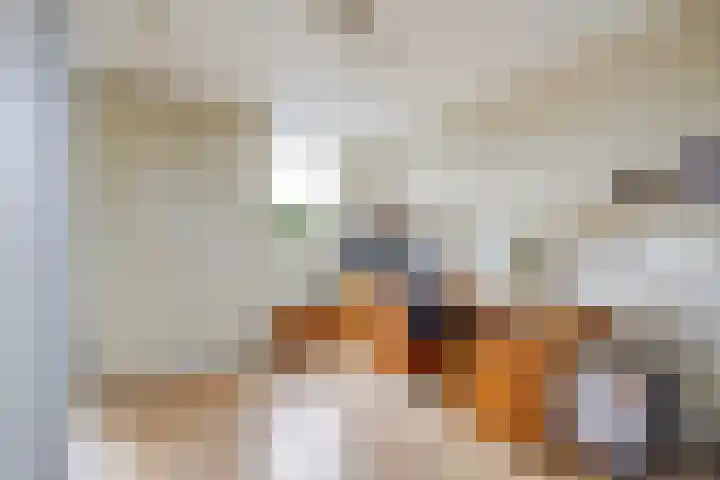 Ponyweide 92 Zoetermeer thumbnail 62
