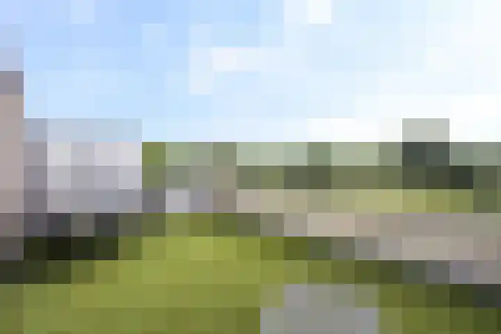 Ponyweide 92 Zoetermeer thumbnail 64