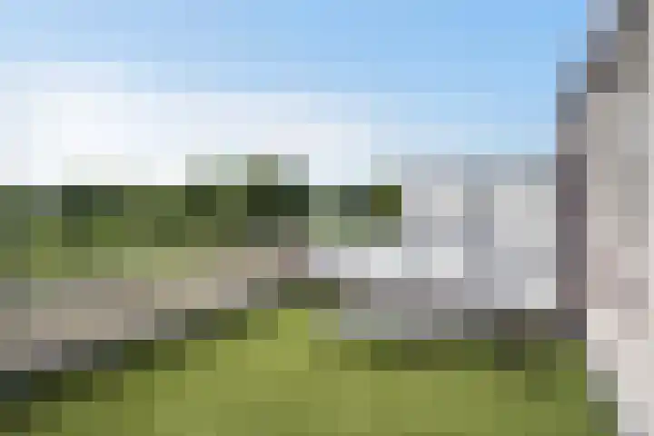 Ponyweide 92 Zoetermeer thumbnail 65