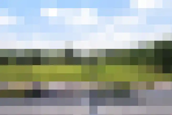 Ponyweide 92 Zoetermeer thumbnail 66
