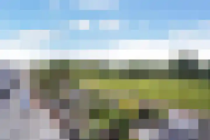 Ponyweide 92 Zoetermeer thumbnail 67