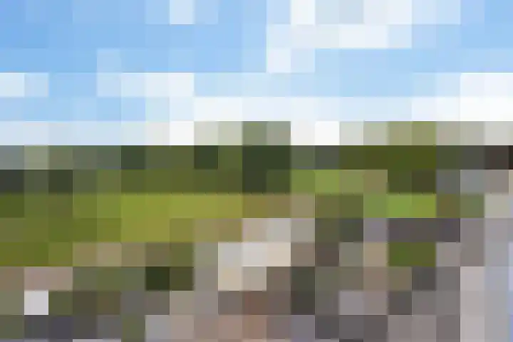 Ponyweide 92 Zoetermeer thumbnail 68