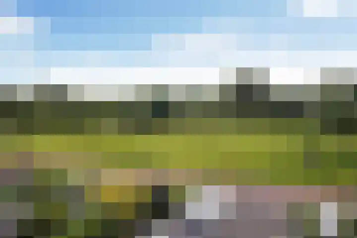 Ponyweide 92 Zoetermeer thumbnail 69