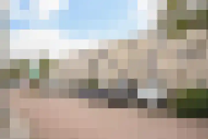 Ponyweide 92 Zoetermeer thumbnail 7