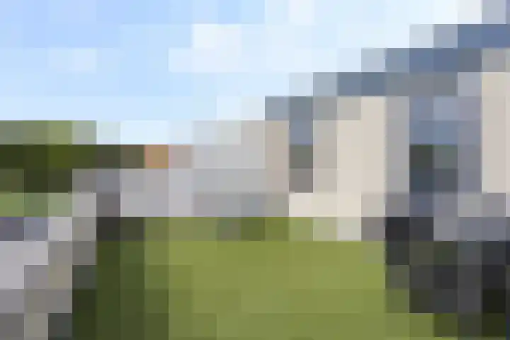 Ponyweide 92 Zoetermeer thumbnail 70