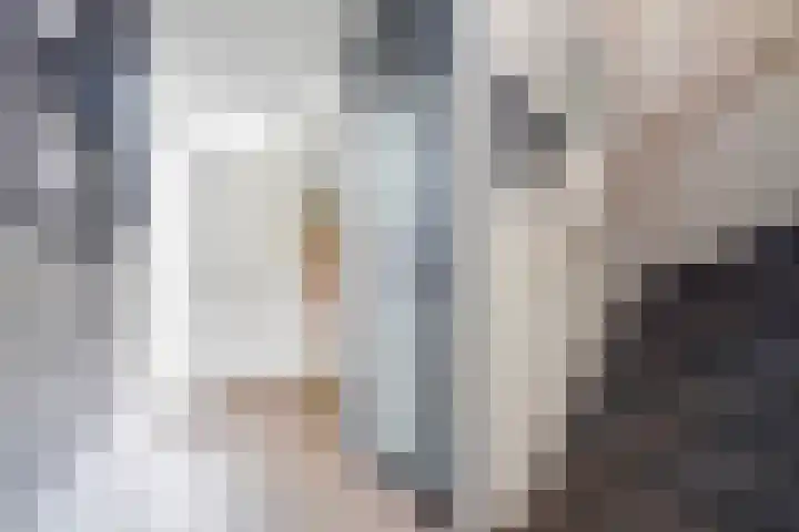 Ponyweide 92 Zoetermeer thumbnail 9