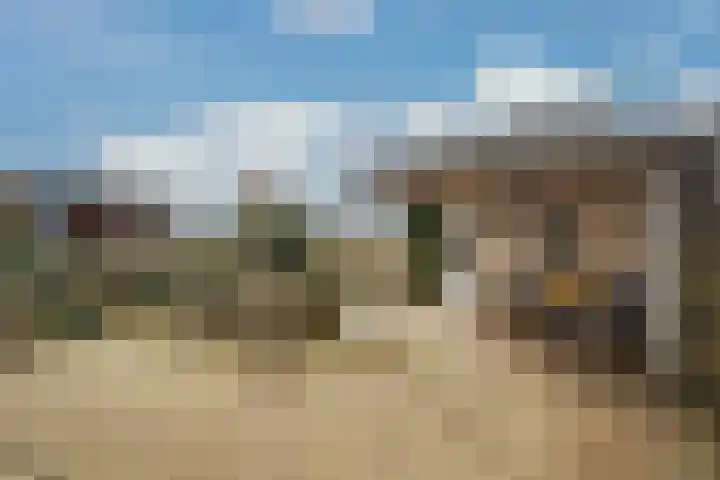 Ponyweide 98 Zoetermeer thumbnail 20