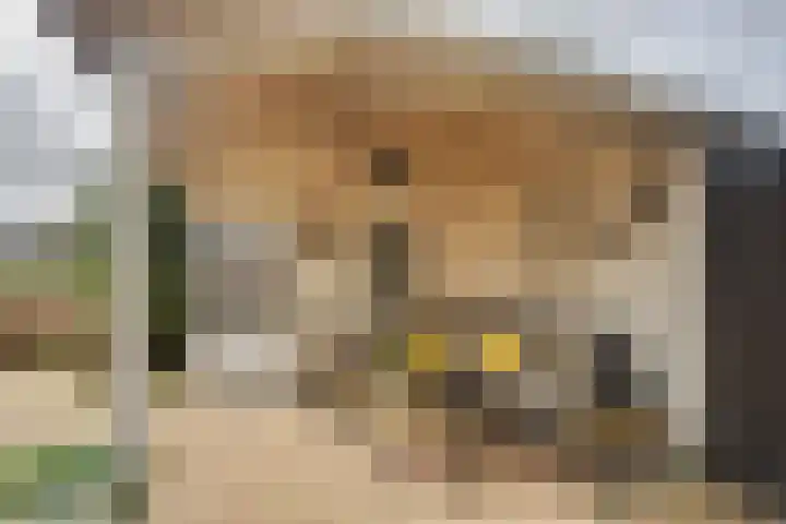 Ponyweide 98 Zoetermeer thumbnail 21