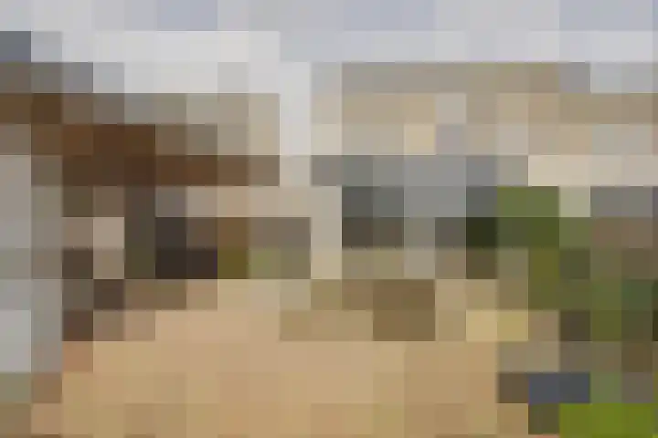Ponyweide 98 Zoetermeer thumbnail 22