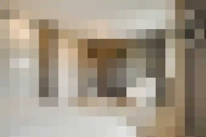 Ponyweide 98 Zoetermeer thumbnail 35