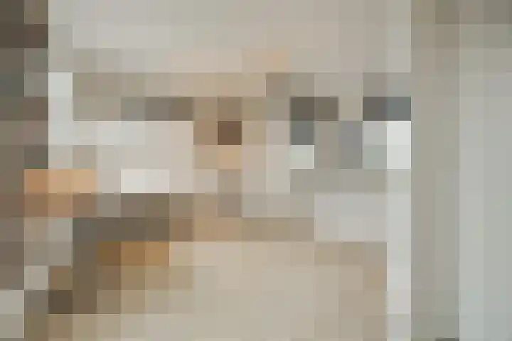 Ponyweide 98 Zoetermeer thumbnail 38