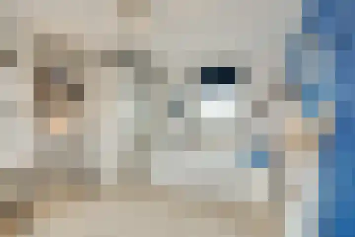 Ponyweide 98 Zoetermeer thumbnail 39