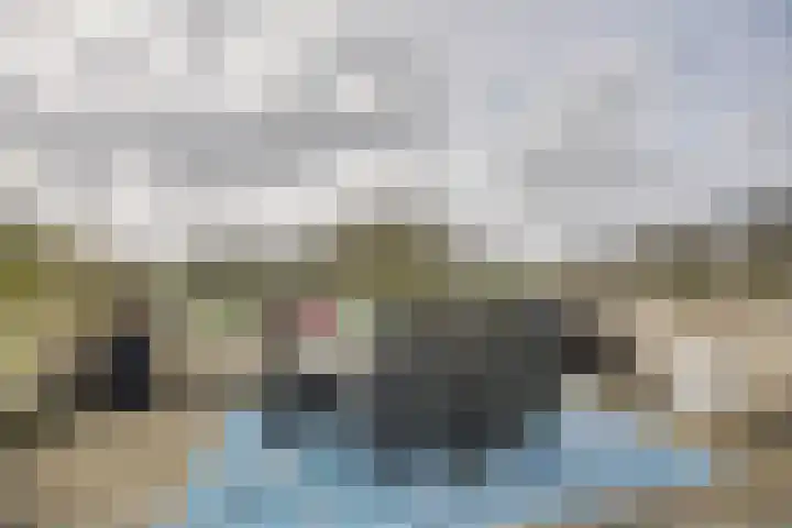 Ponyweide 98 Zoetermeer thumbnail 41