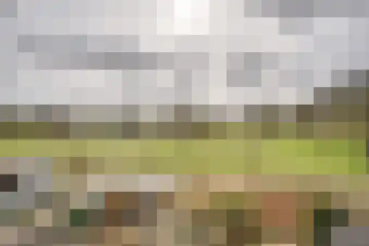 Ponyweide 98 Zoetermeer thumbnail 45