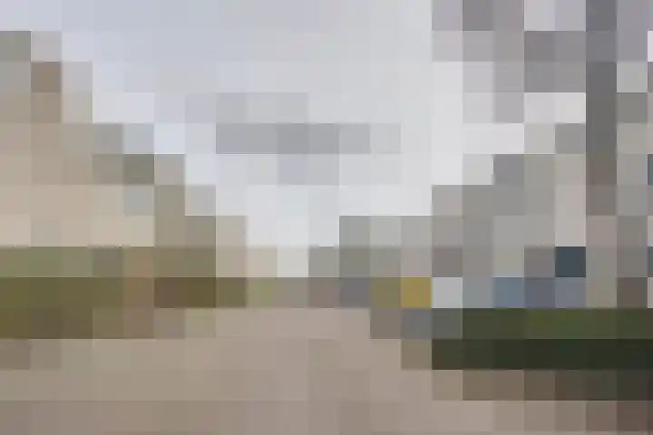Ponyweide 98 Zoetermeer thumbnail 46