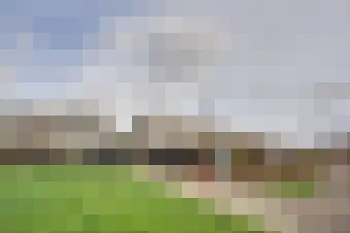 Ponyweide 98 Zoetermeer thumbnail 47