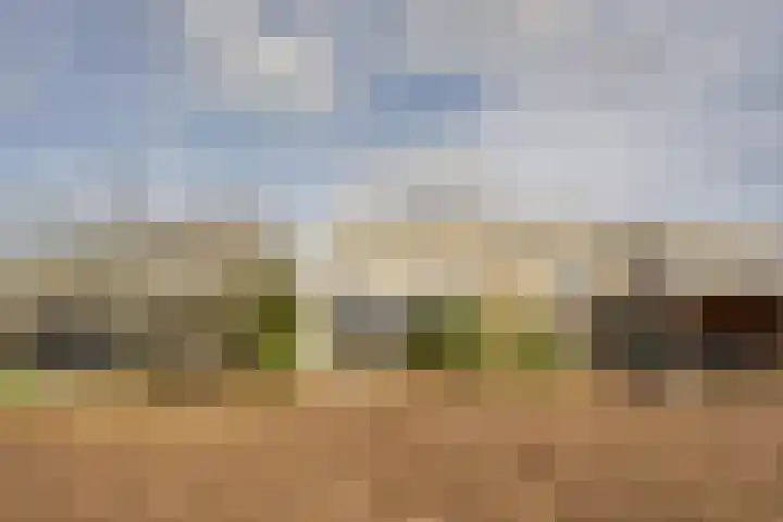 Ponyweide 98 Zoetermeer thumbnail 48