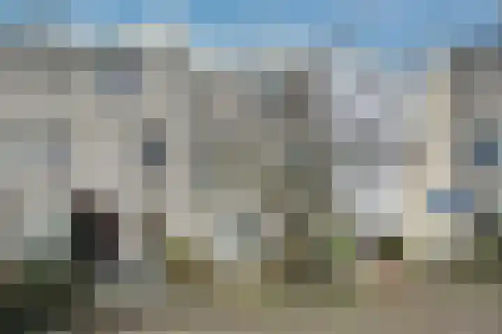 Ponyweide 98 Zoetermeer thumbnail 5