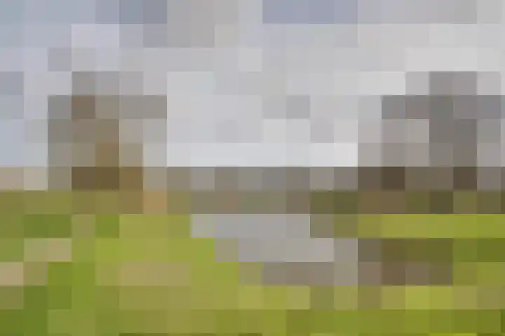 Ponyweide 98 Zoetermeer thumbnail 50