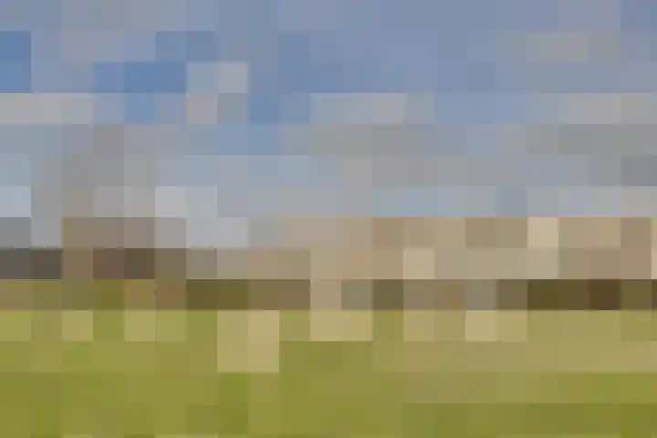 Ponyweide 98 Zoetermeer thumbnail 52