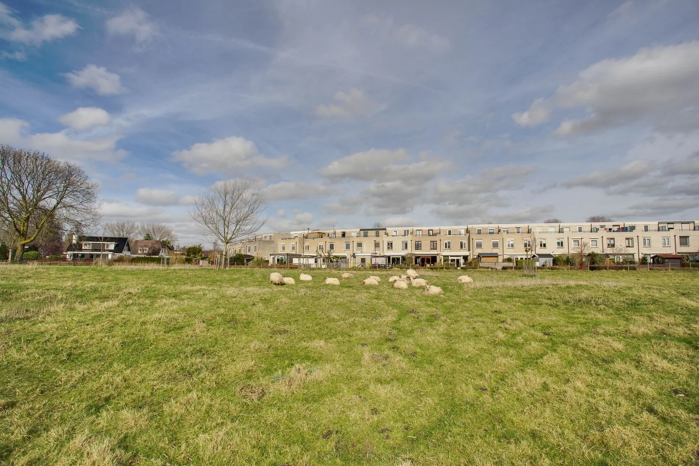 Ponyweide 98 Zoetermeer thumbnail 53
