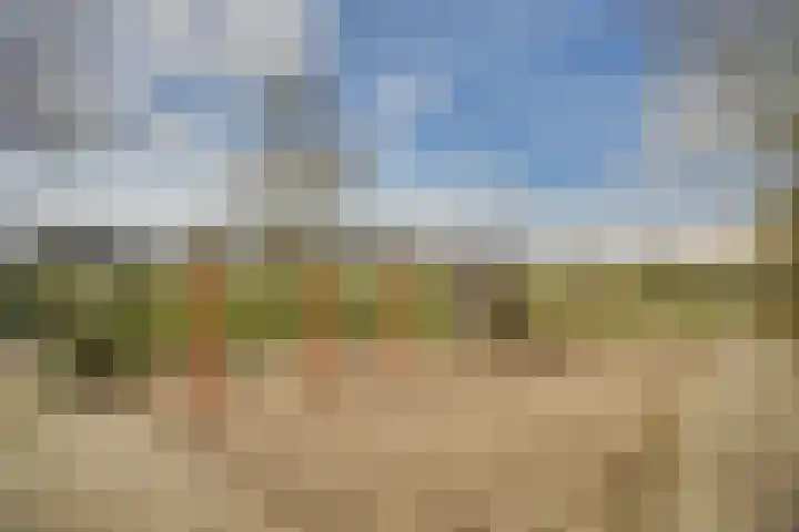 Ponyweide 98 Zoetermeer thumbnail 54