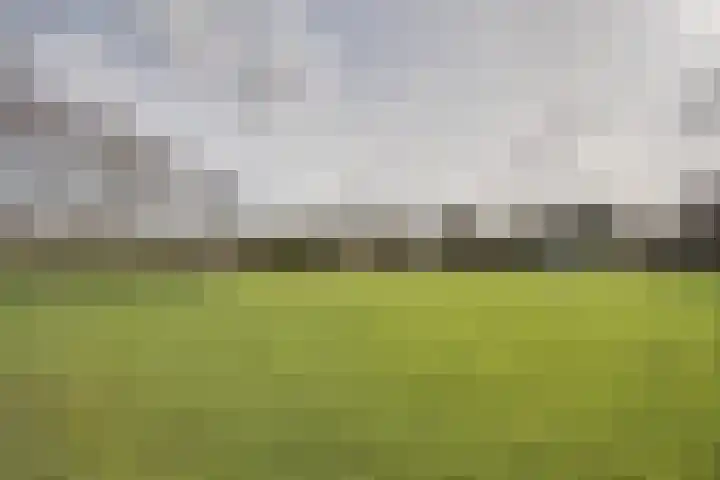 Ponyweide 98 Zoetermeer thumbnail 55
