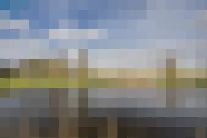 Ponyweide 98 Zoetermeer thumbnail 56