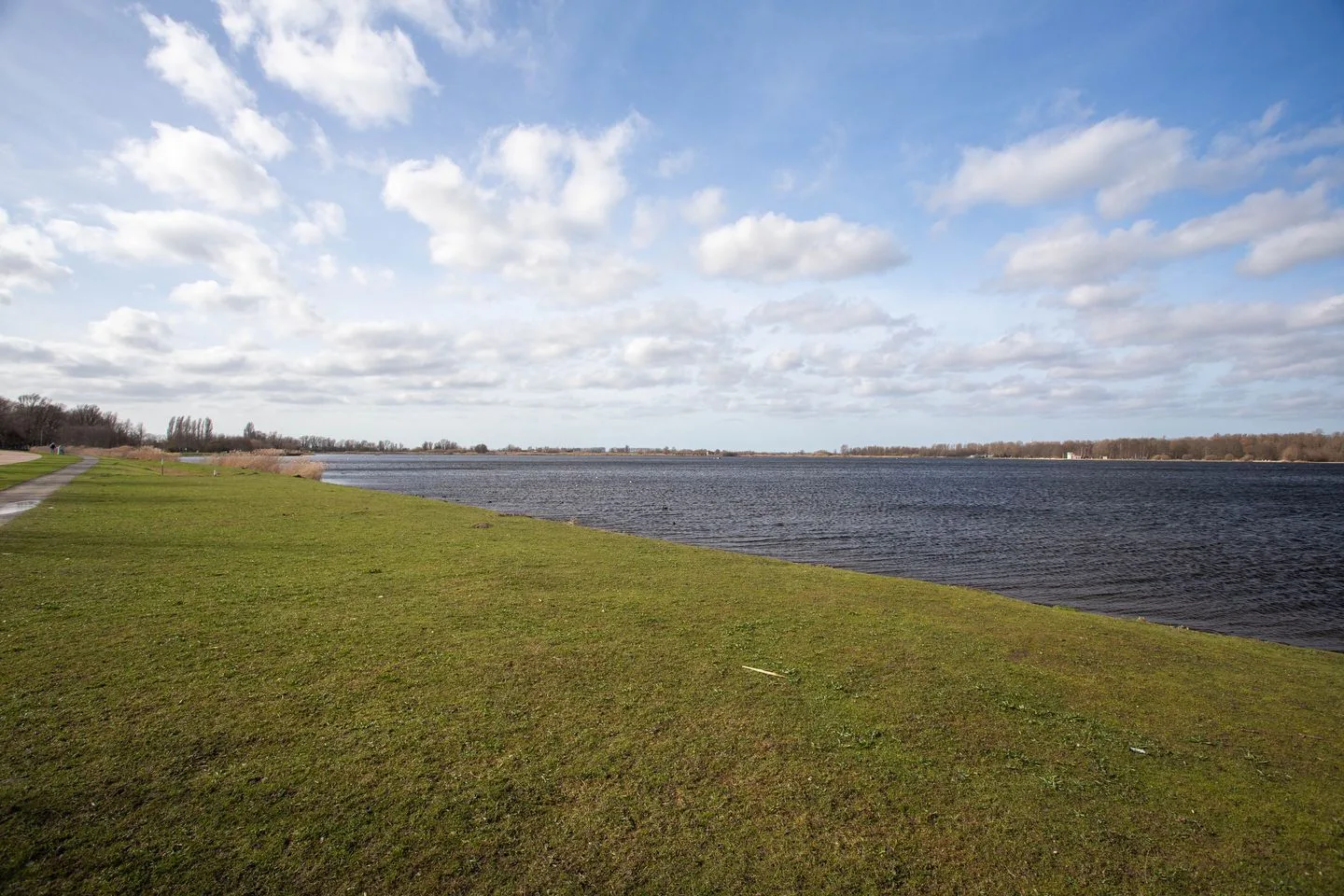 Ponyweide 98 Zoetermeer thumbnail 57