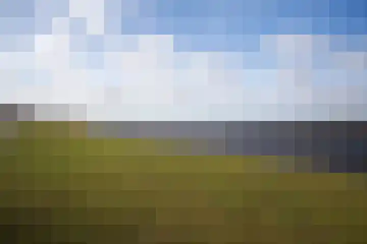 Ponyweide 98 Zoetermeer thumbnail 57