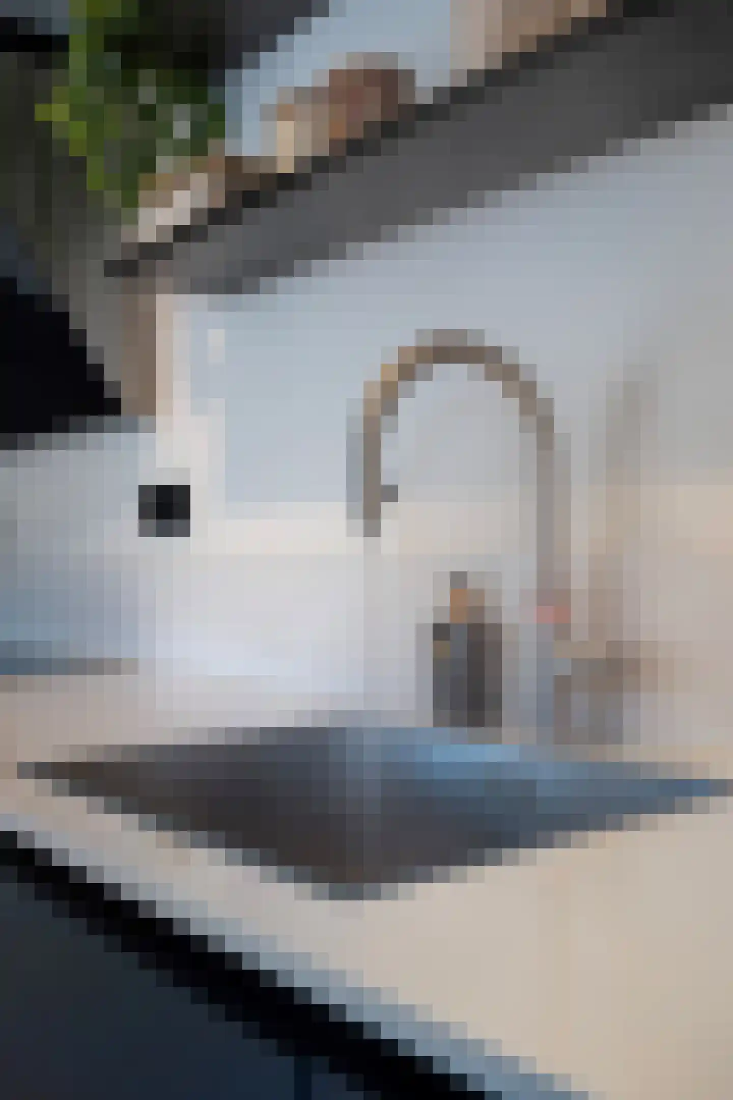 Poolcirkel 12 Klazienaveen thumbnail 14