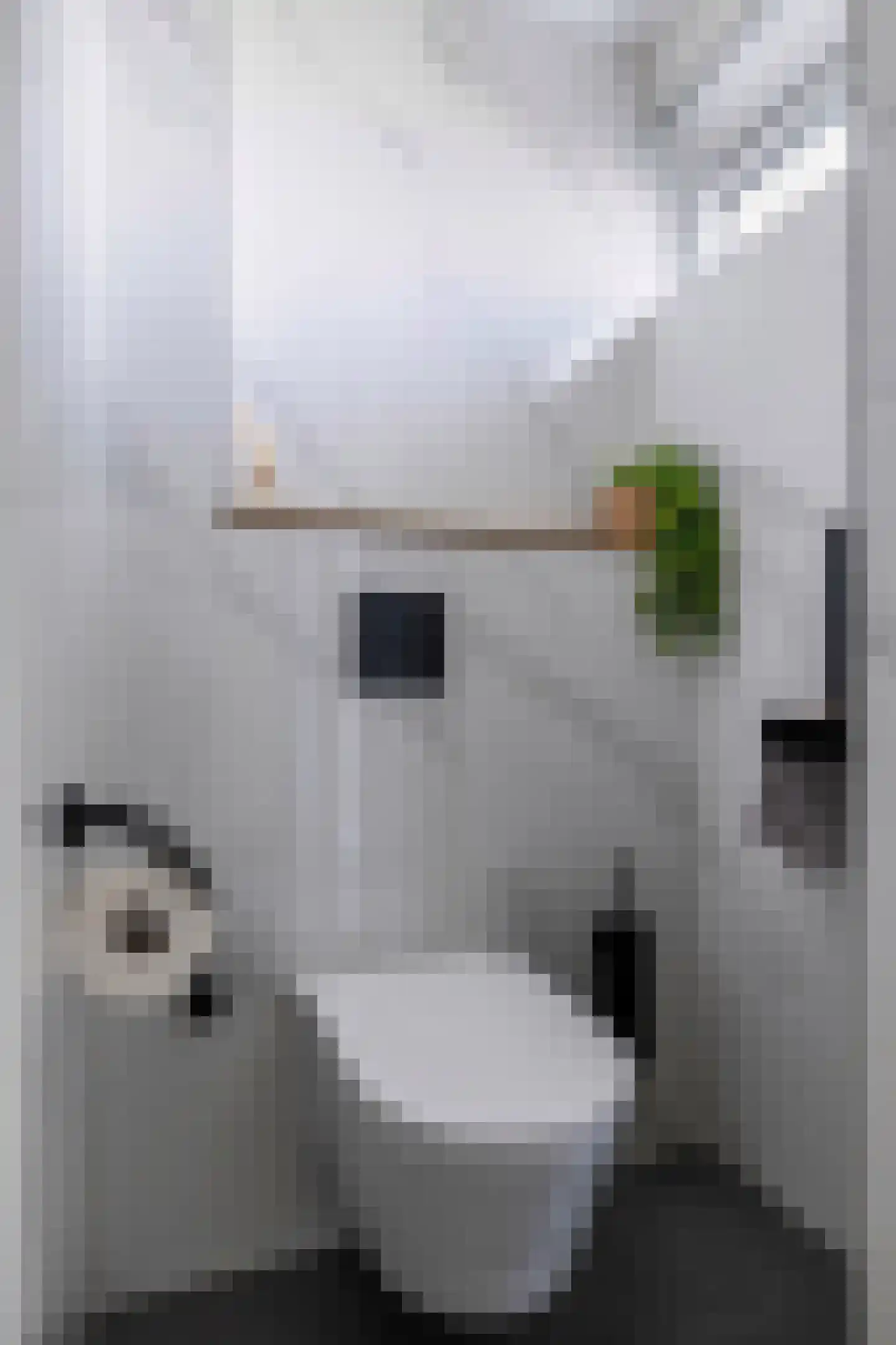 Poolcirkel 12 Klazienaveen thumbnail 19